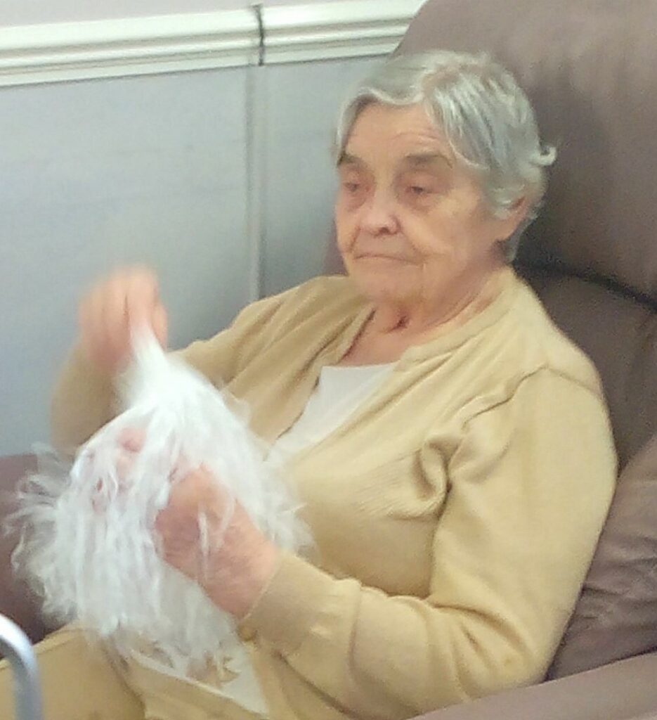 Nightingale Care Home