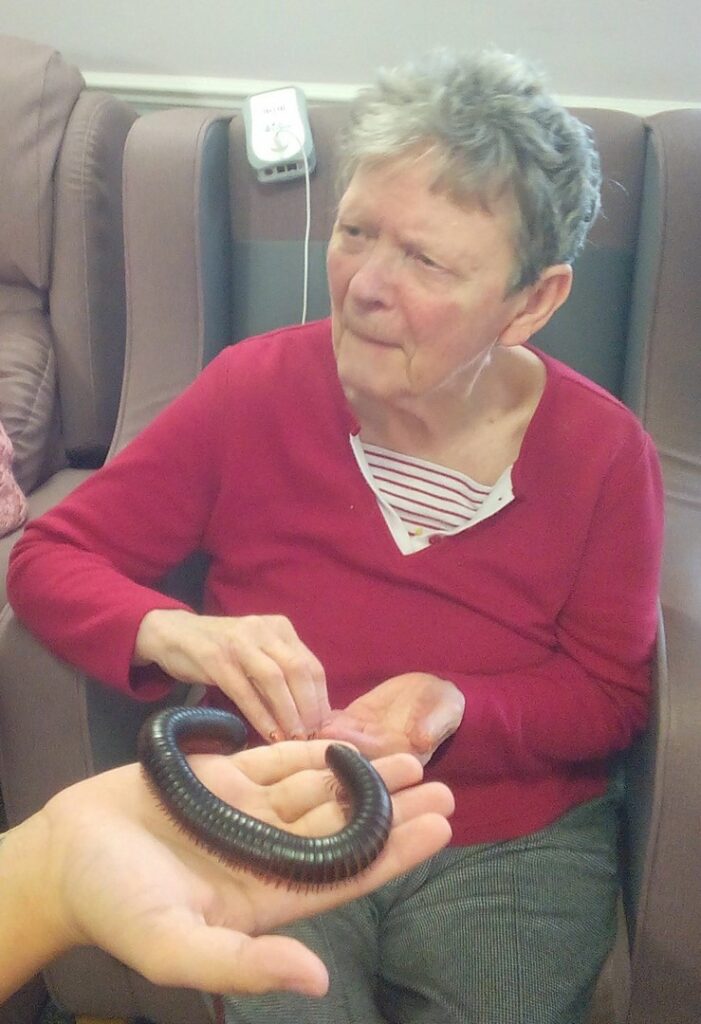 Nightingale Care Home