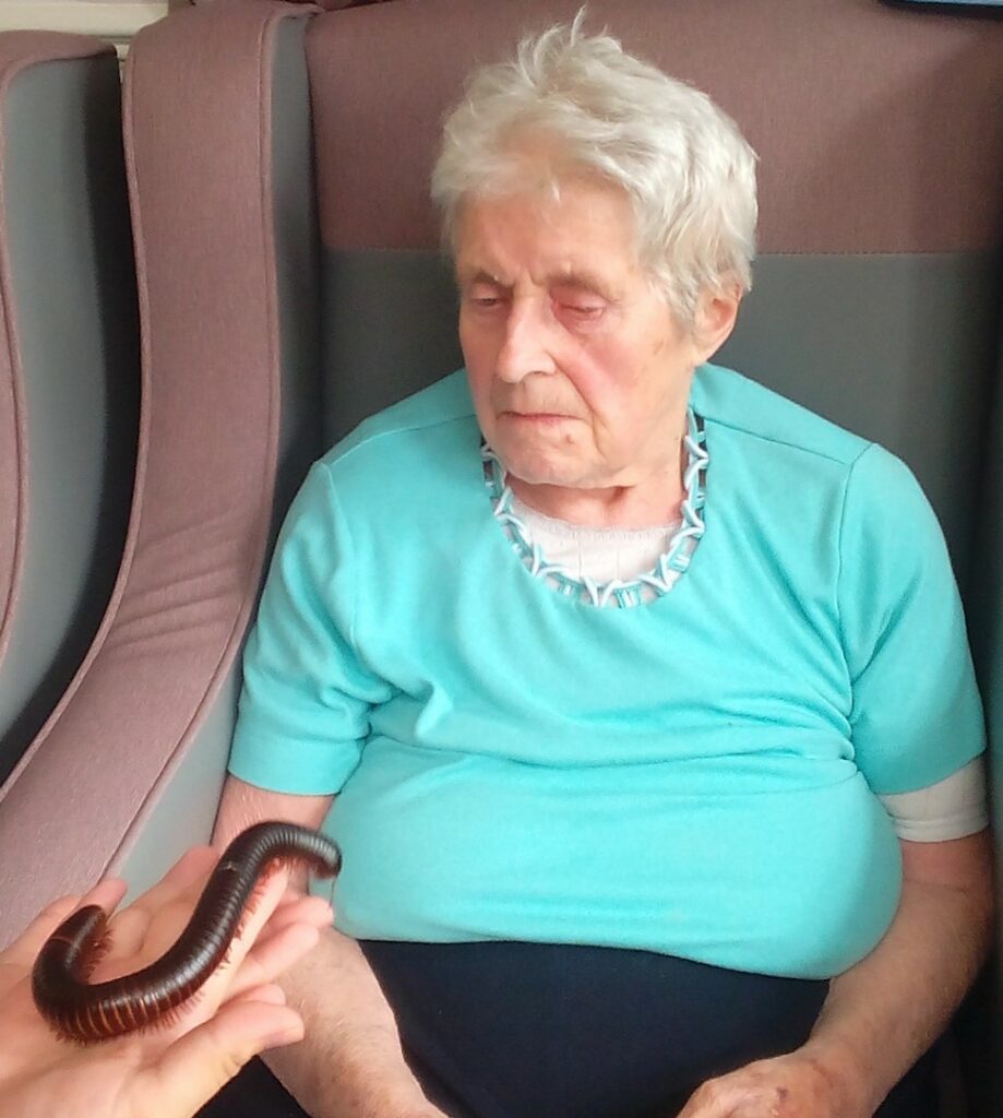 Nightingale Care Home