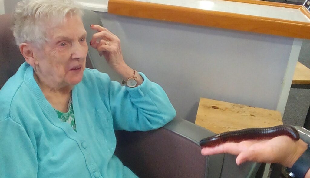 Nightingale Care Home