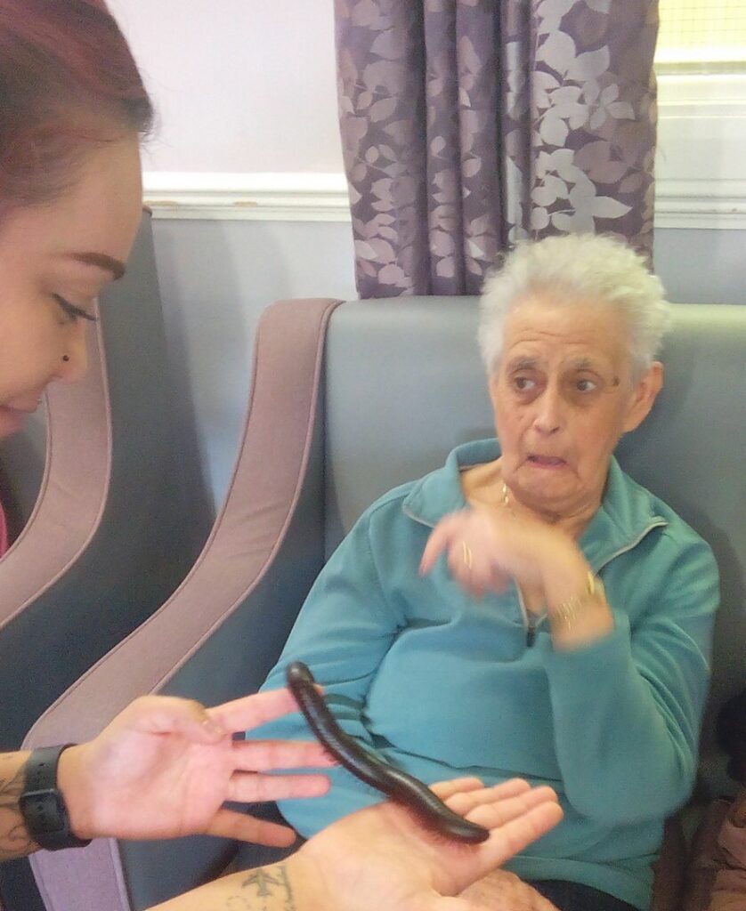 Nightingale Care Home