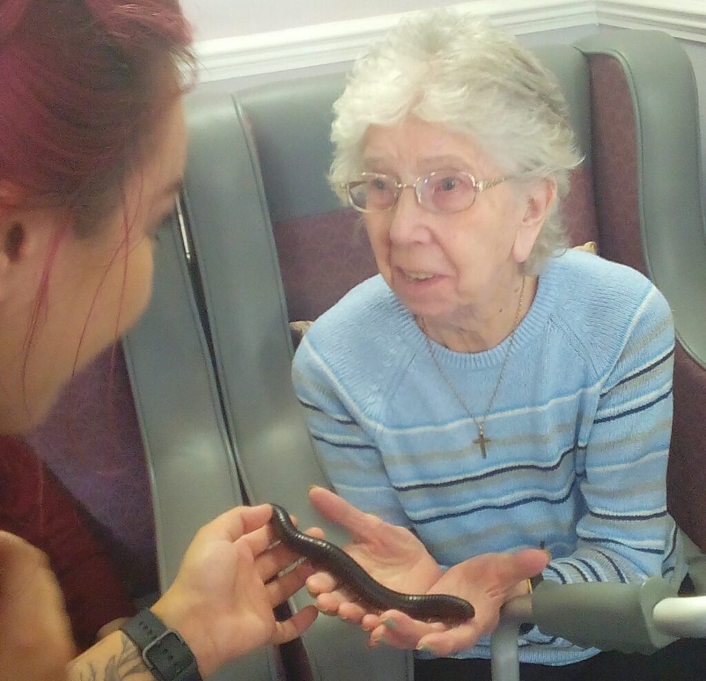Nightingale Care Home