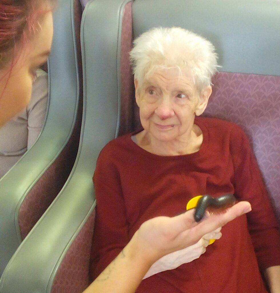 Nightingale Care Home