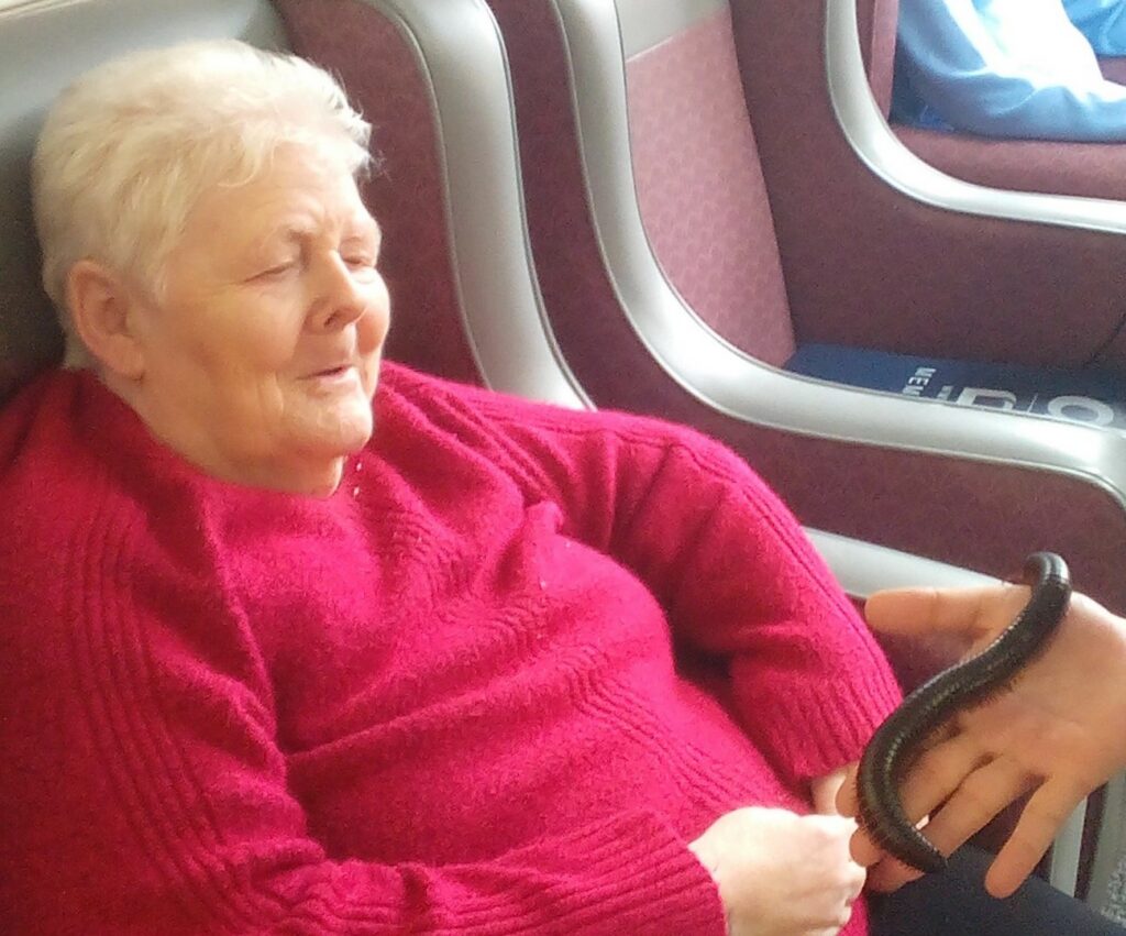 Nightingale Care Home