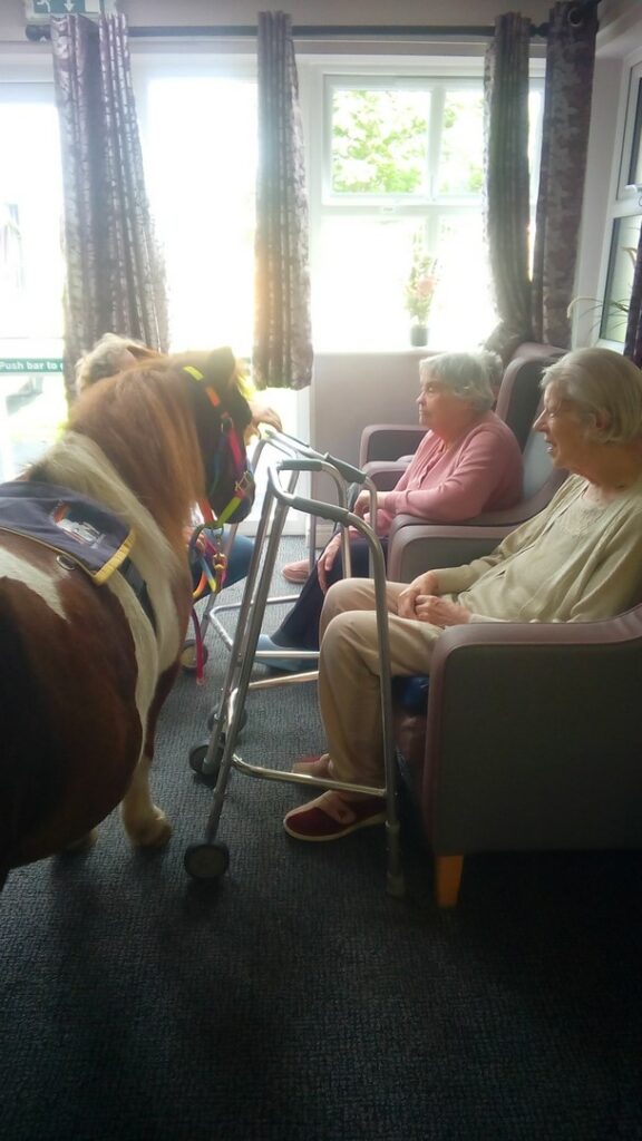 Nightingale Care Home