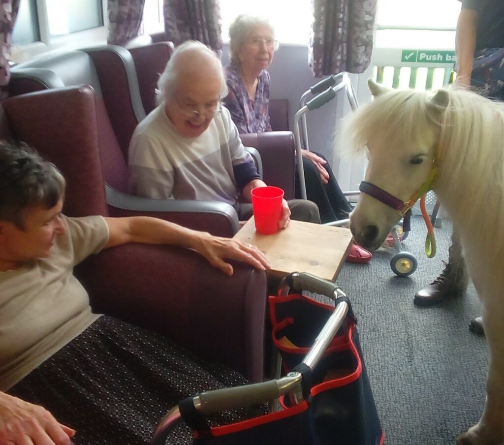Nightingale Care Home