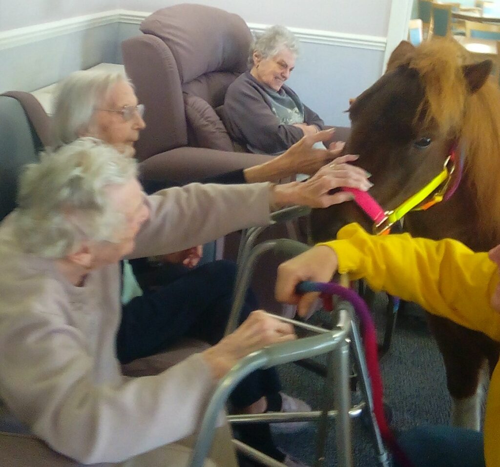 Nightingale Care Home
