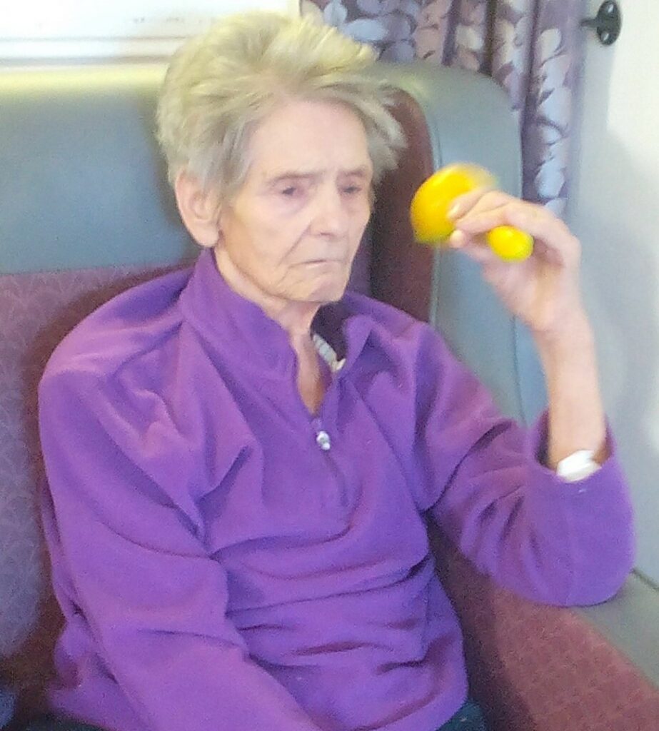 Nightingale Care Home