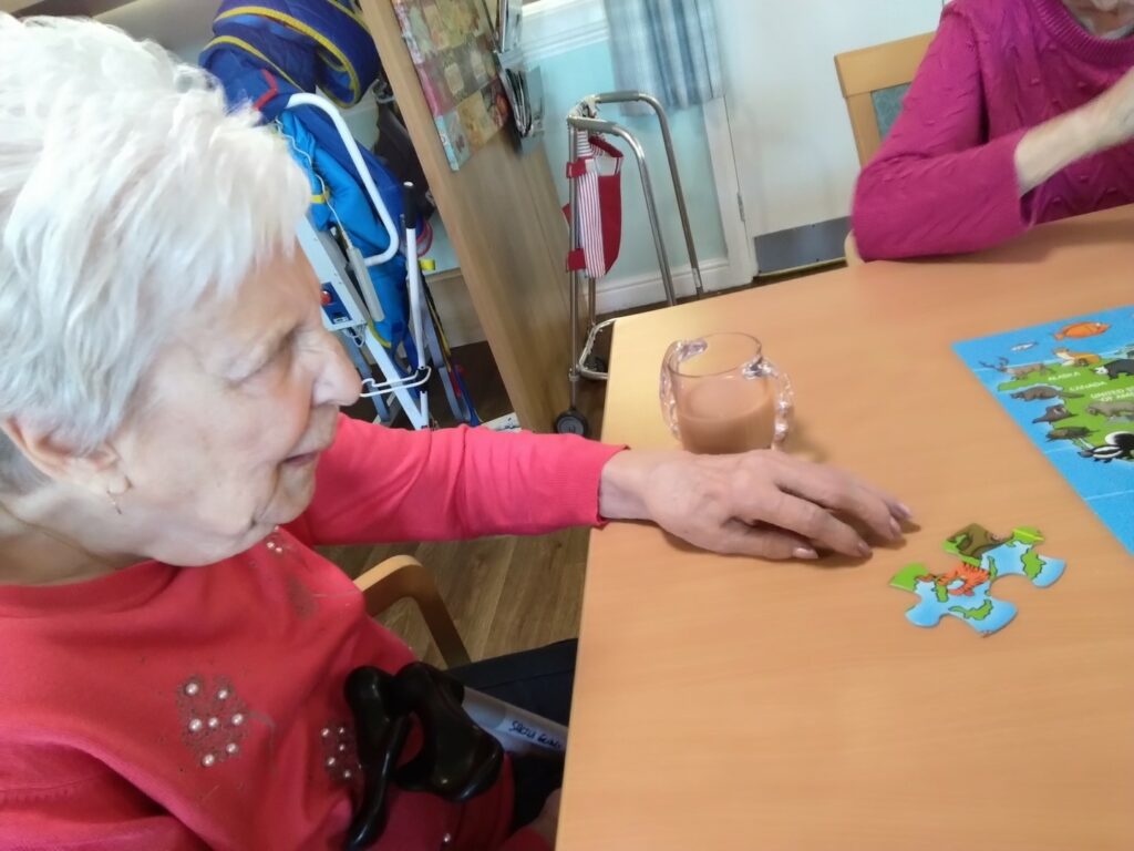 Nightingale Care Home