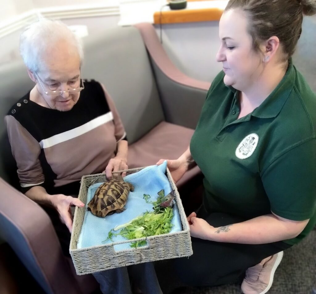 Nightingale Care Home