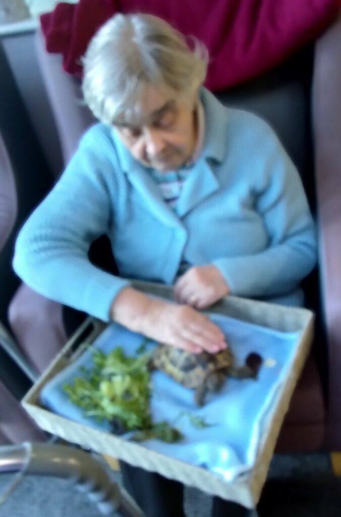 Nightingale Care Home