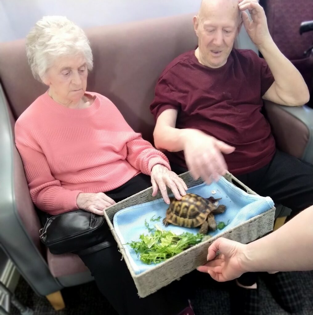 Nightingale Care Home