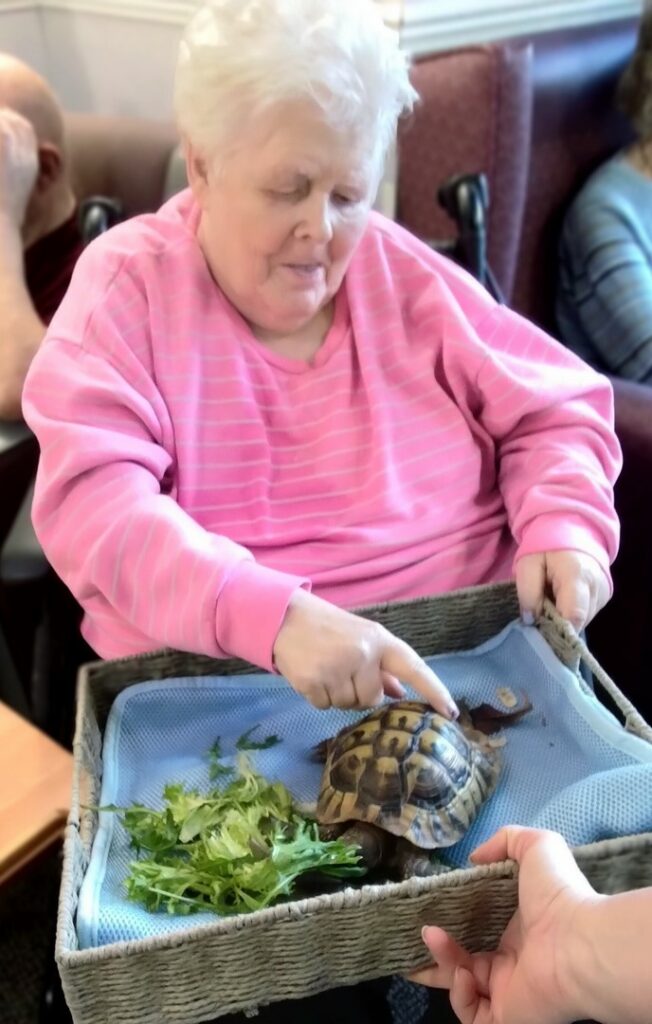 Nightingale Care Home