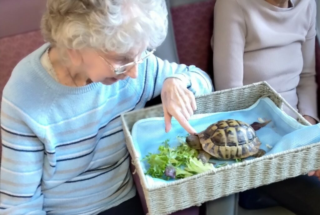 Nightingale Care Home