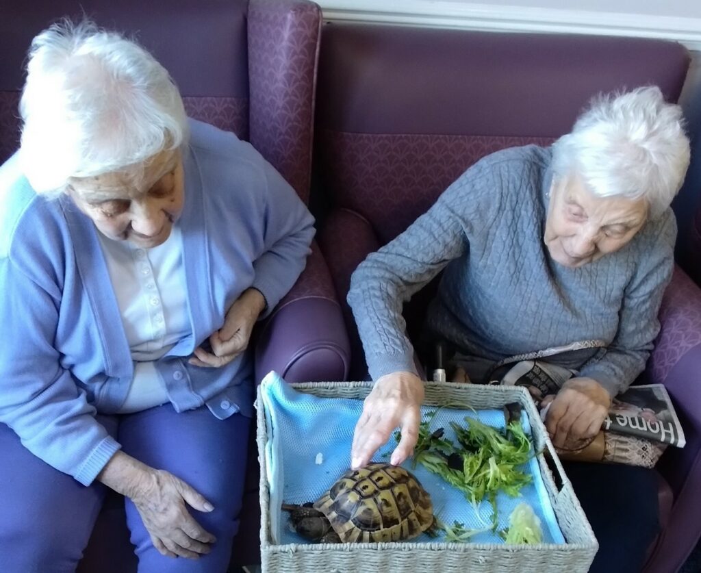 Nightingale Care Home