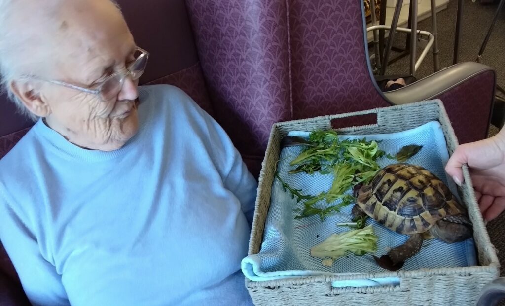 Nightingale Care Home