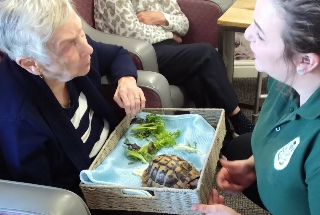Nightingale Care Home