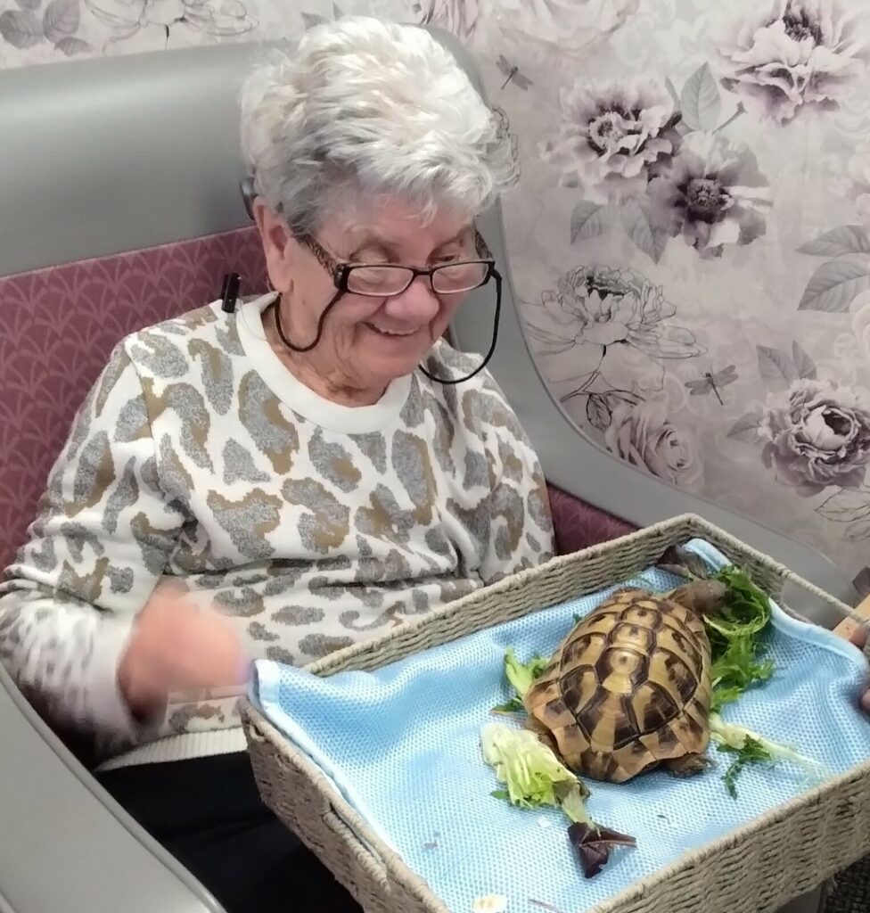 Nightingale Care Home