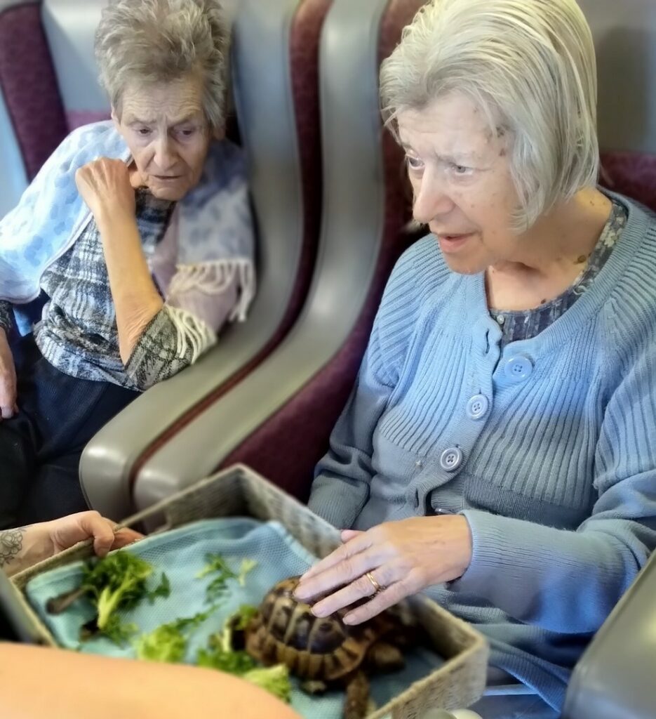 Nightingale Care Home
