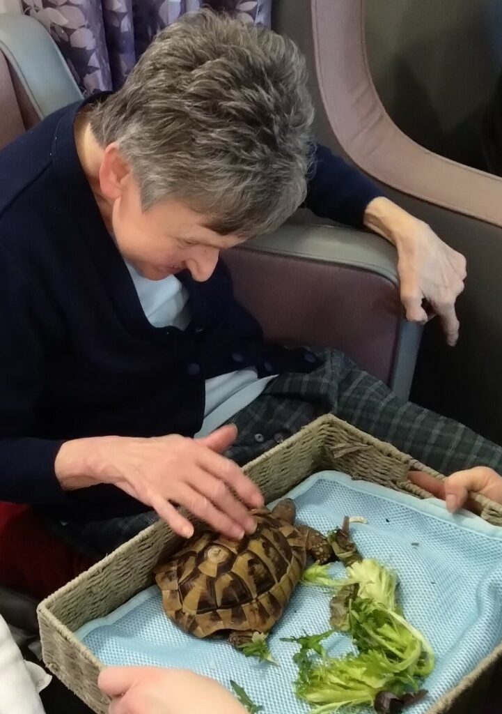Nightingale Care Home