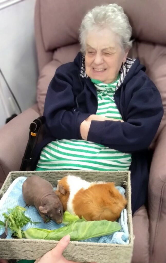 Nightingale Care Home