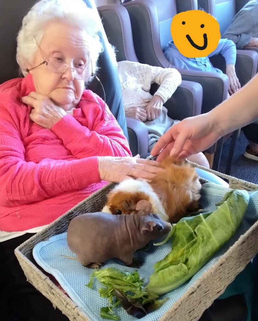 Nightingale Care Home