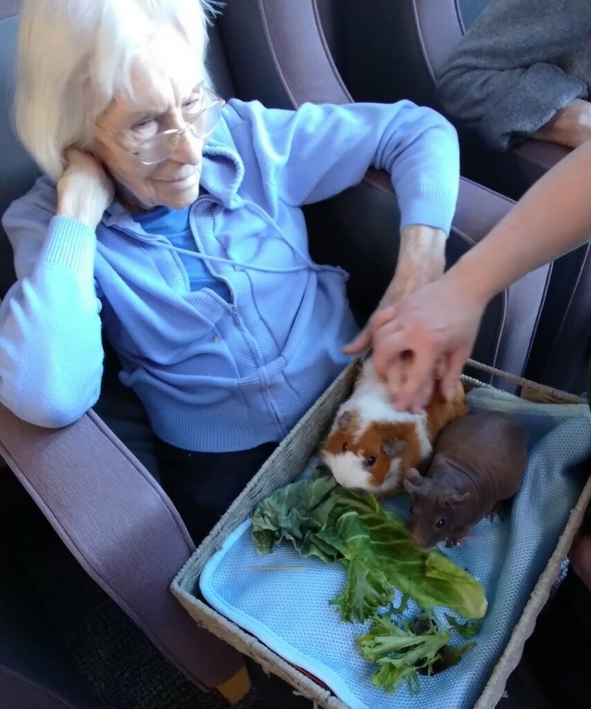 Nightingale Care Home