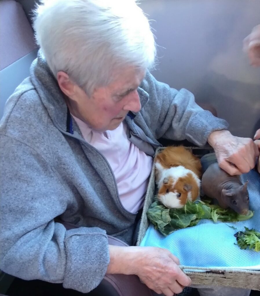 Nightingale Care Home