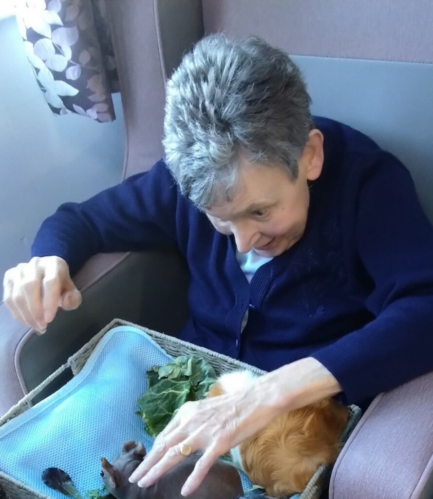 Nightingale Care Home