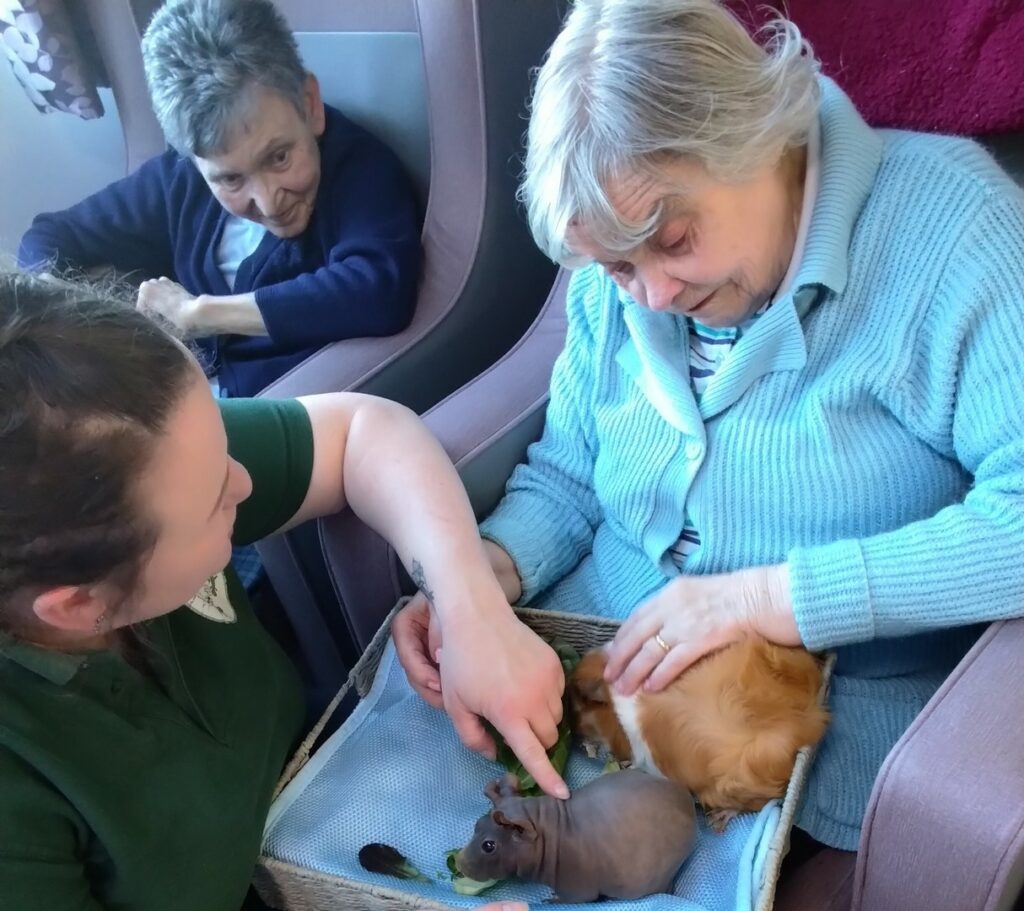 Nightingale Care Home