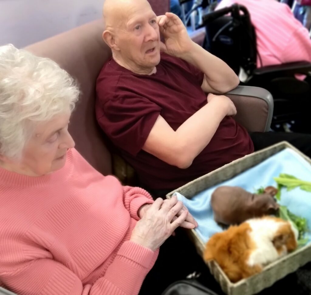 Nightingale Care Home