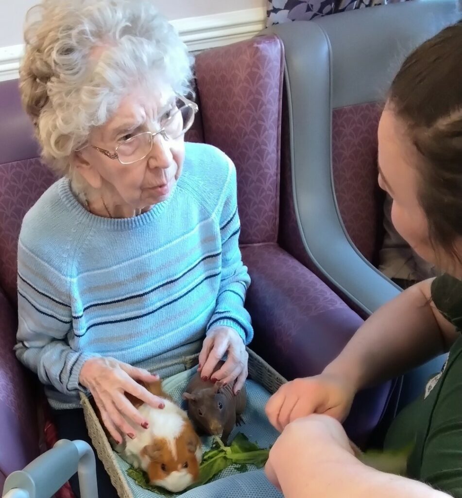Nightingale Care Home