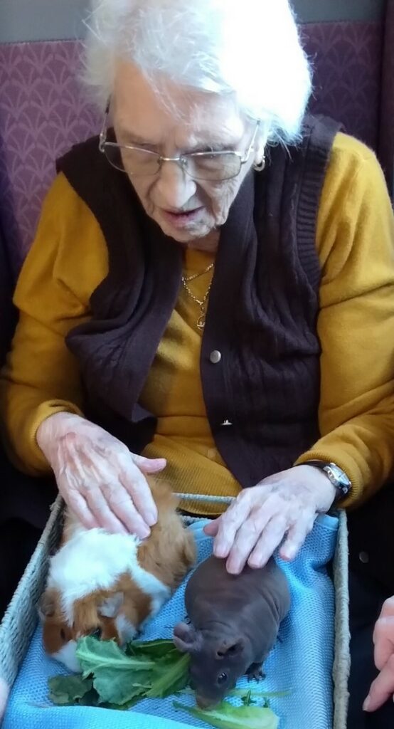 Nightingale Care Home