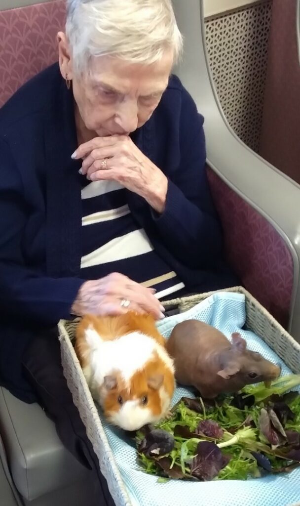 Nightingale Care Home