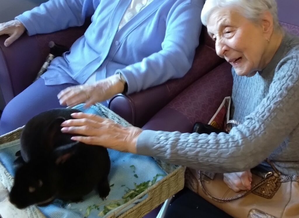 Nightingale Care Home