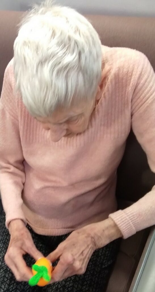 Nightingale Care Home