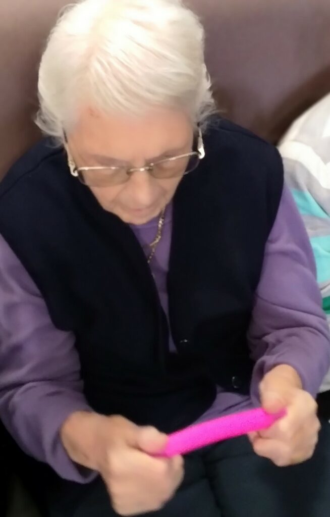 Nightingale Care Home