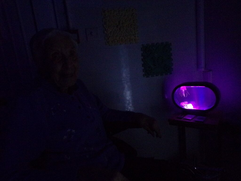 Nightingale Care Home