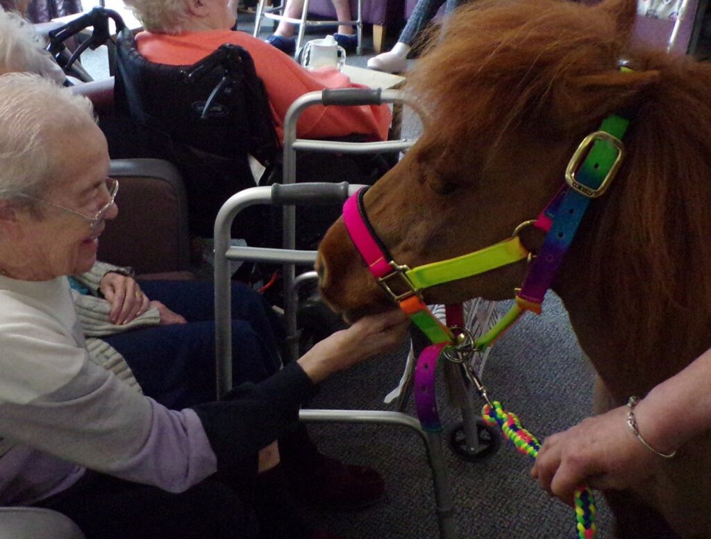 Nightingale Care Home