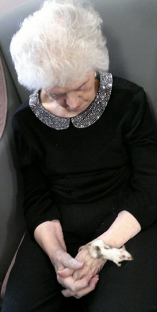 Nightingale Care Home