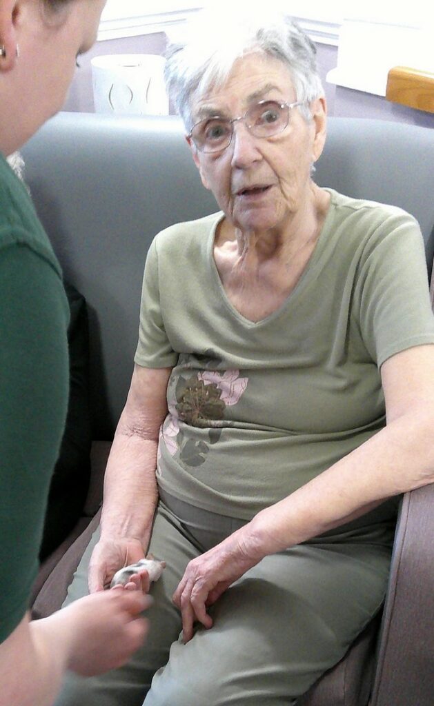 Nightingale Care Home