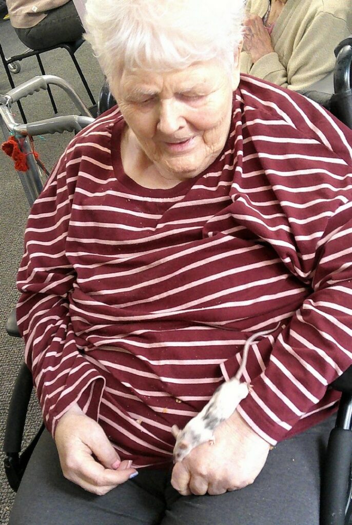 Nightingale Care Home