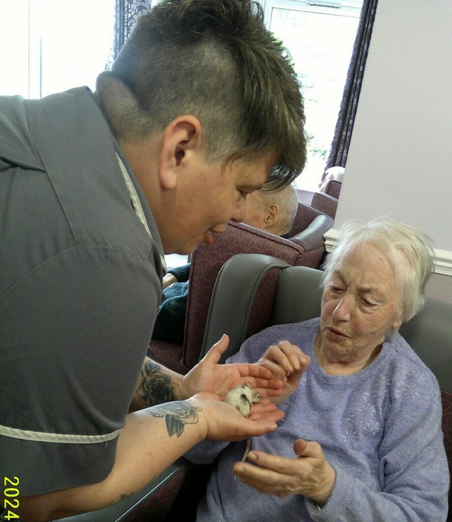Nightingale Care Home