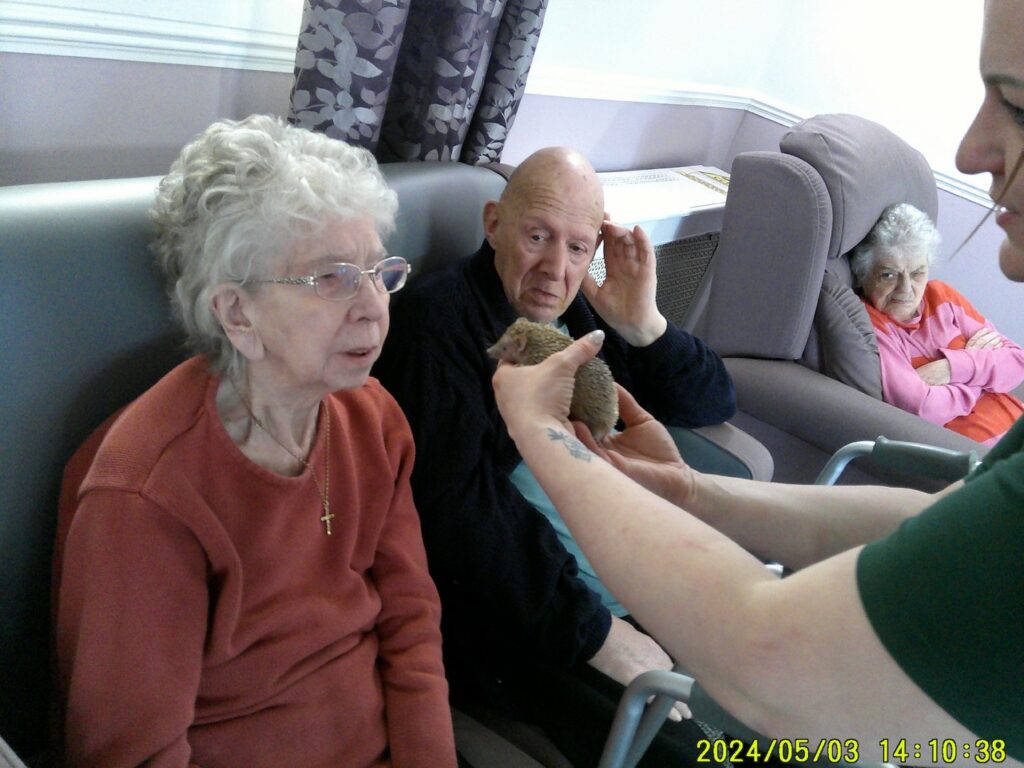 Nightingale Care Home