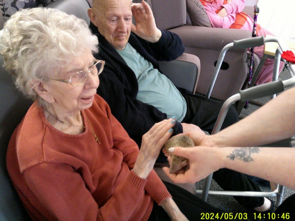 Nightingale Care Home