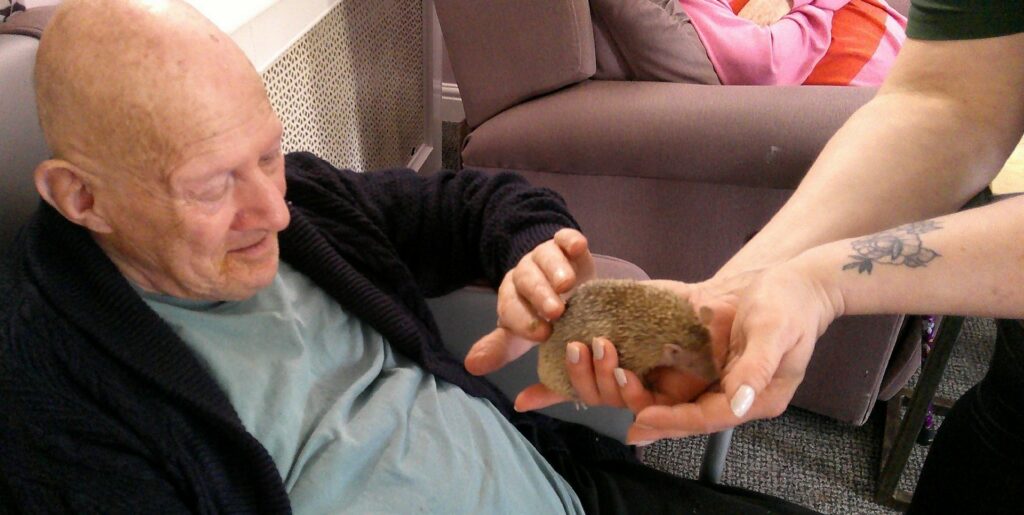 Nightingale Care Home