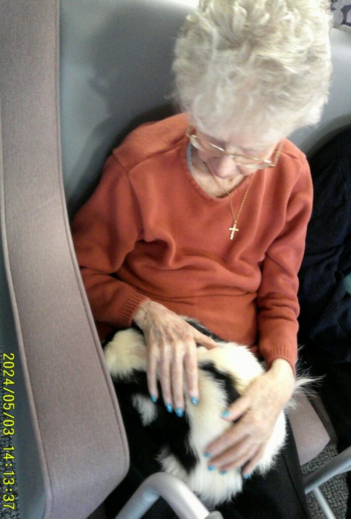 Nightingale Care Home