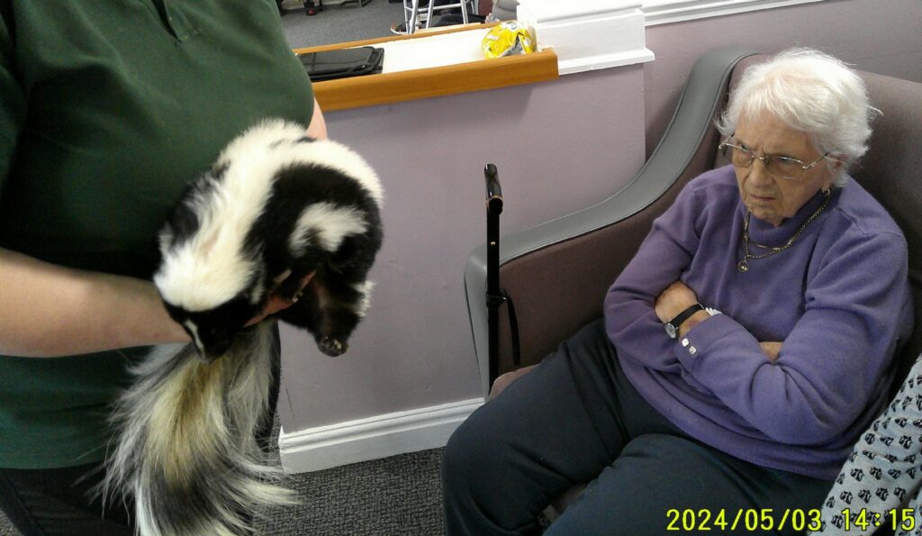 Nightingale Care Home
