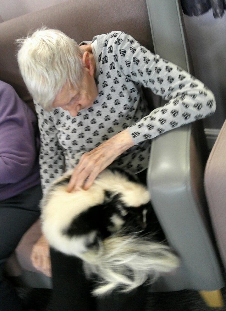 Nightingale Care Home