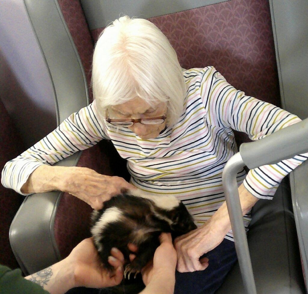 Nightingale Care Home